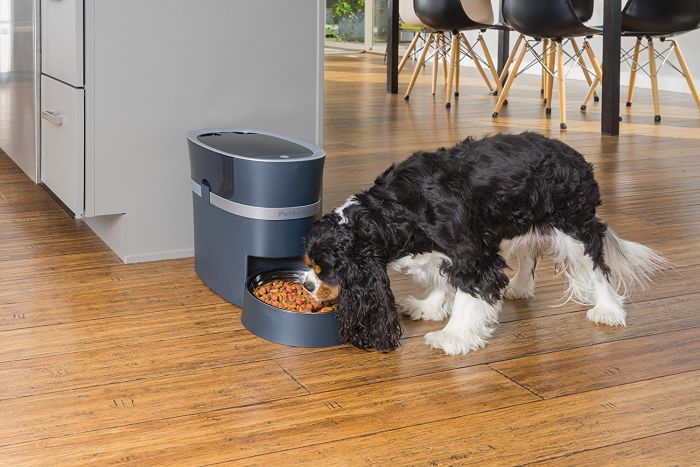 Dispensador automático inteligente para perros y gatos - Imagen 7